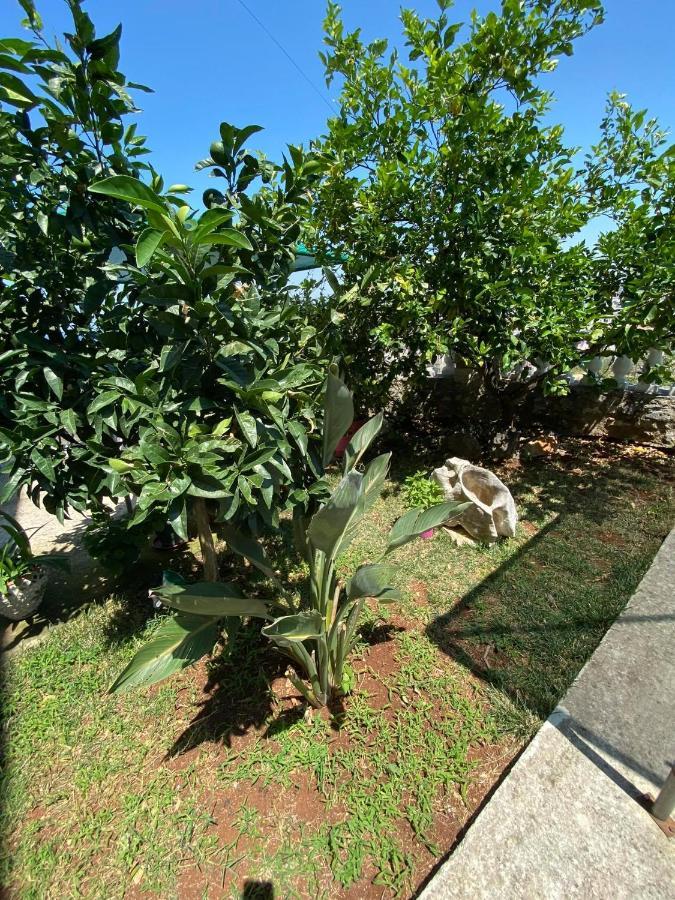 Vila Mare Mateo Ksamil Ngoại thất bức ảnh